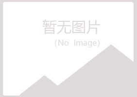 靖宇县埋没培训有限公司